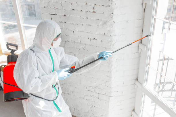 Asbestos and Lead Testing During Mold Inspection in Albuquerque, NM